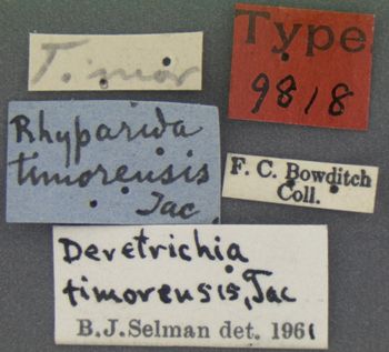 Media type: image; Entomology 9818   Aspect: labels